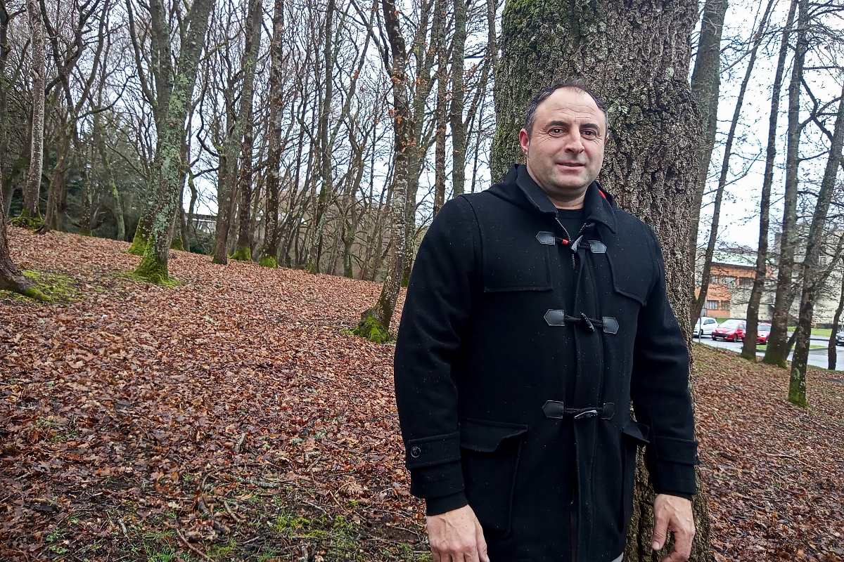 “Hai que esquecerse do piñeiro radiata como especie produtora de madeira en Galicia”