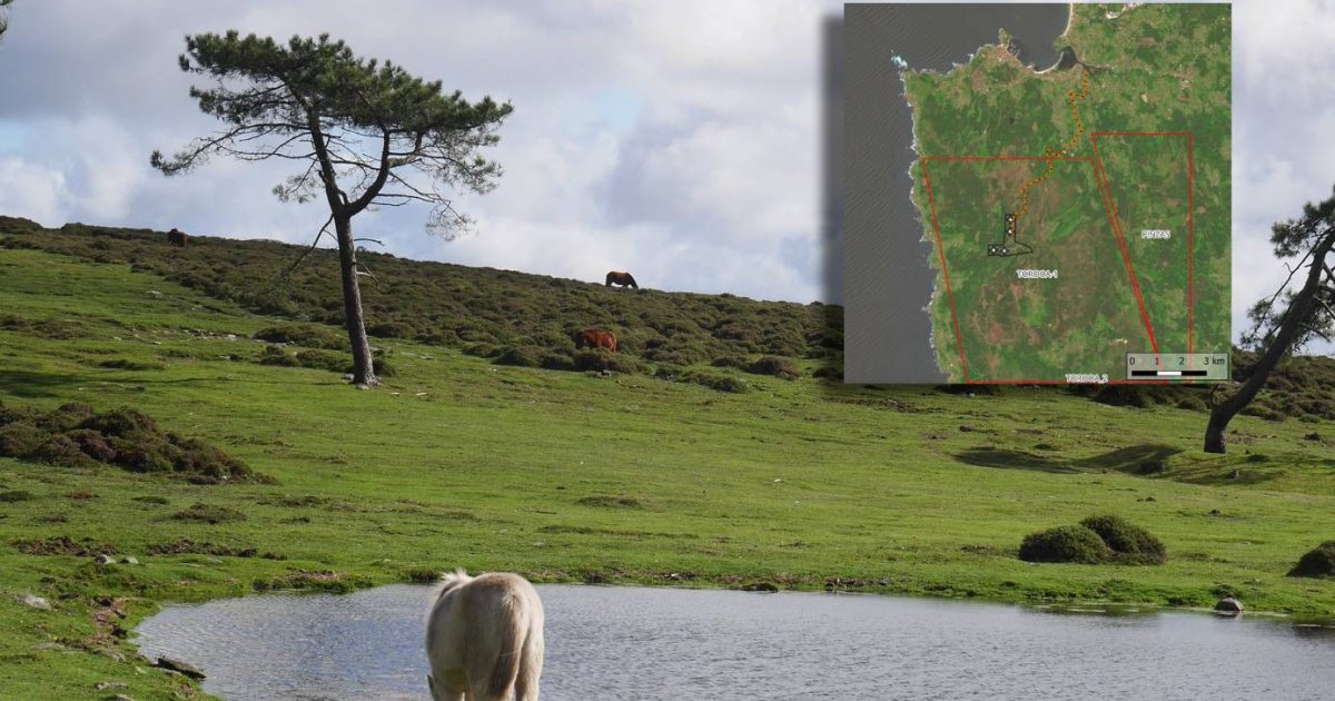 Novo intento de instalar catro eólicos na Groba dous anos despois de invalidar os anteriores o seu impacto ambiental