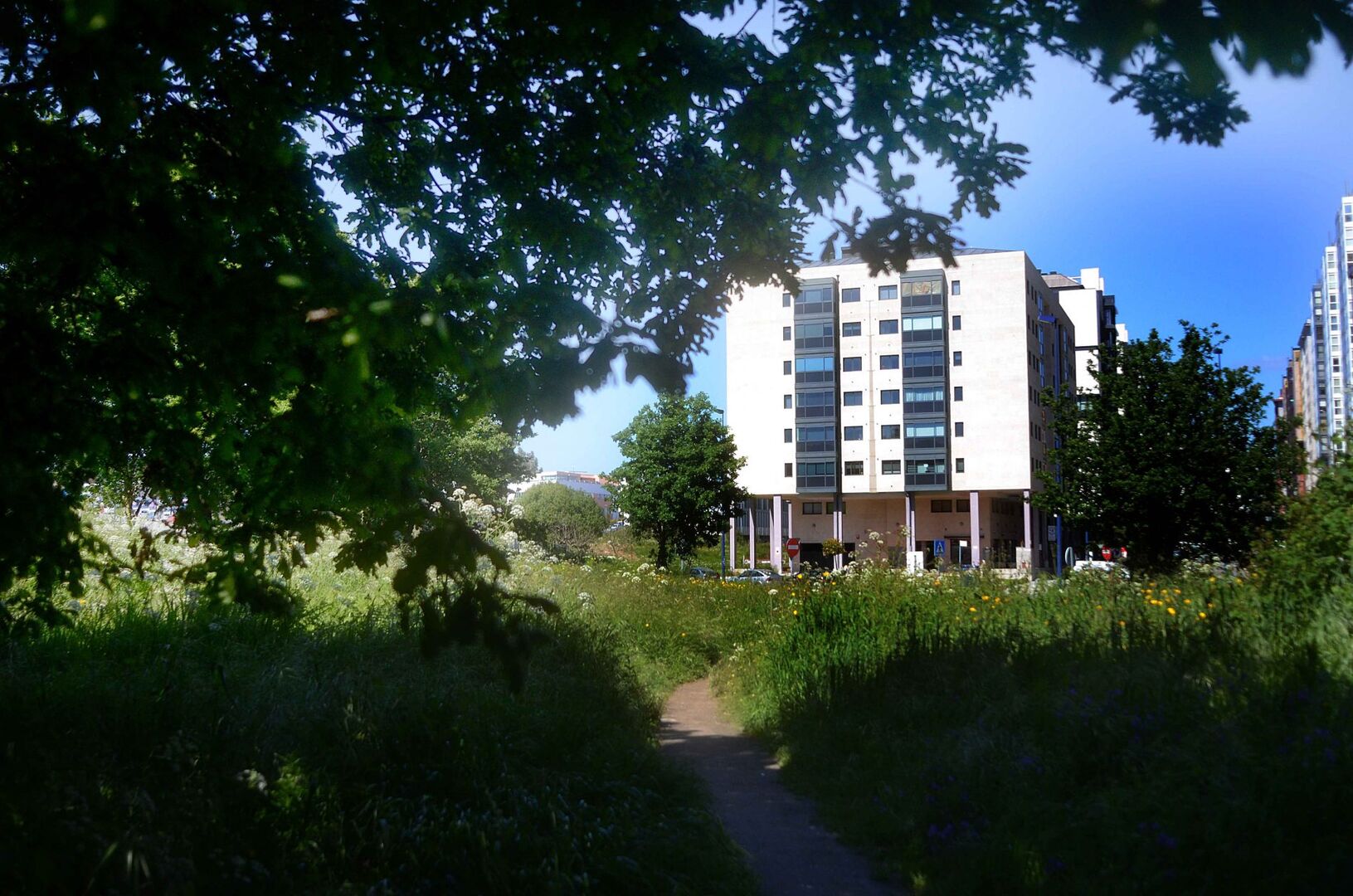 O BNG de Vigo propón converter o Ifevi nun recinto de grandes concertos para salvar o bosque de Navia