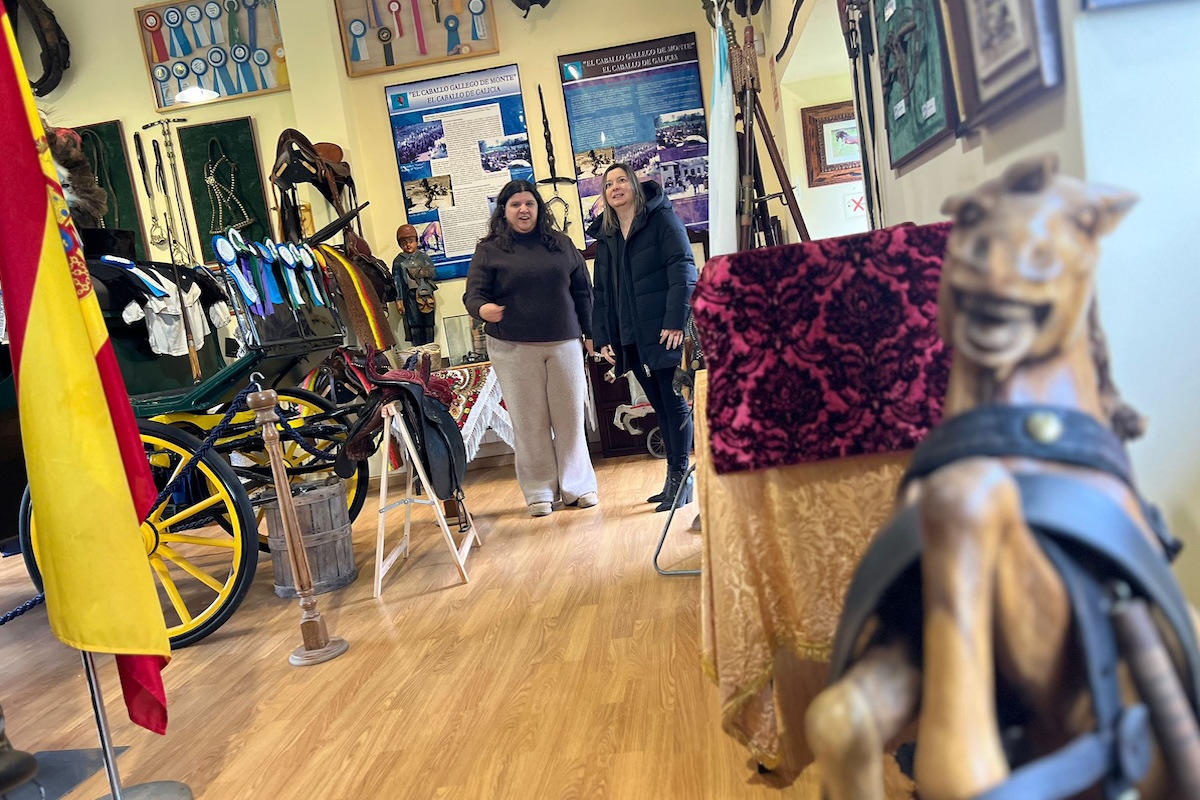 A Deputación da Coruña impulsa a promoción e a conservación do Cabalo de Pura Raza Galega