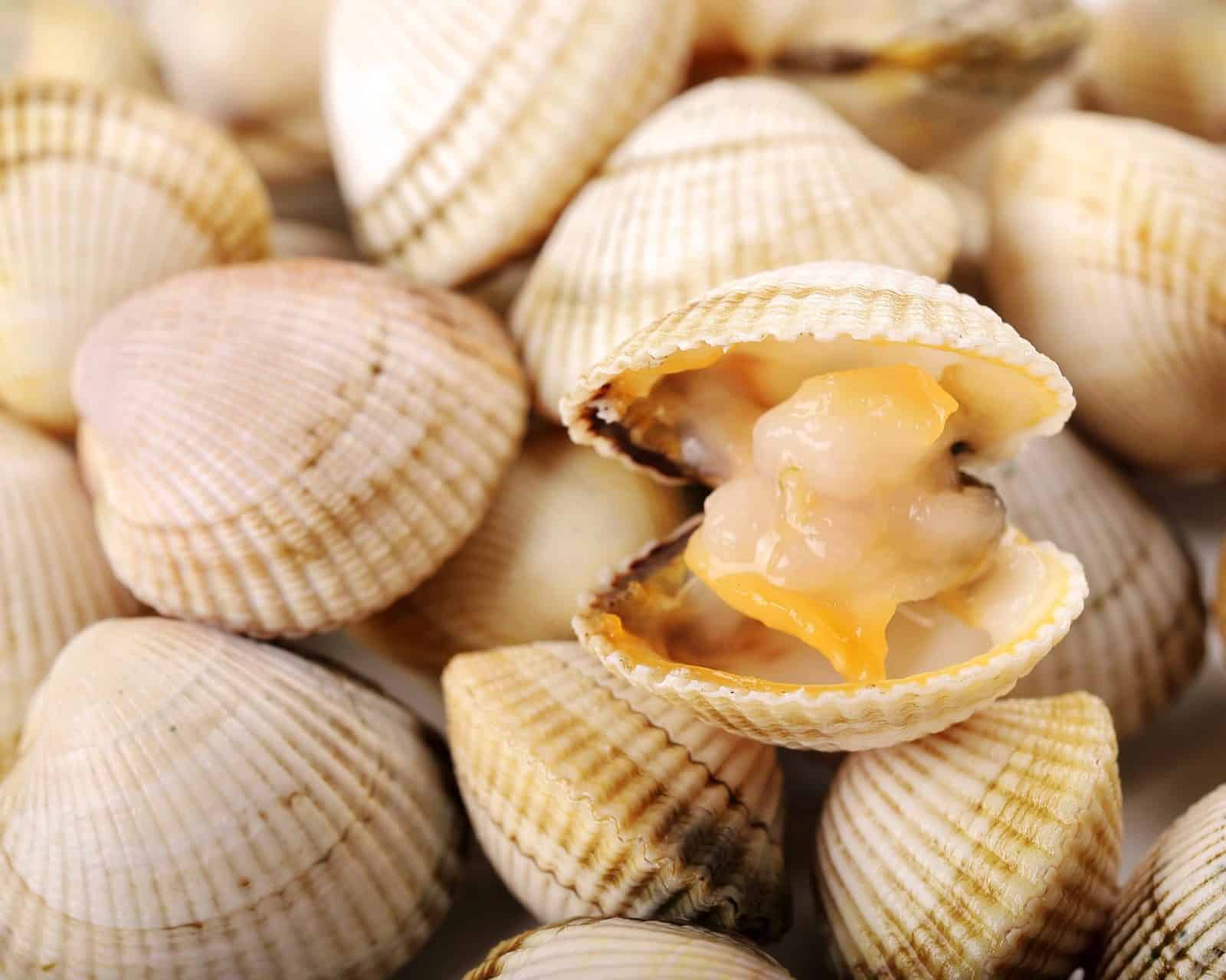 Choivas intensas poñen en risco o comezo da campaña marisqueira en Noia