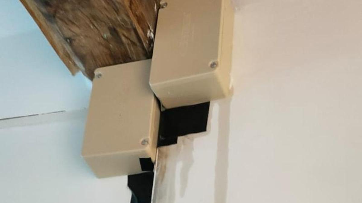 Un estudo con tinguiduras  nos cebos revela que os termiteros alcanzan un radio de 50 metros