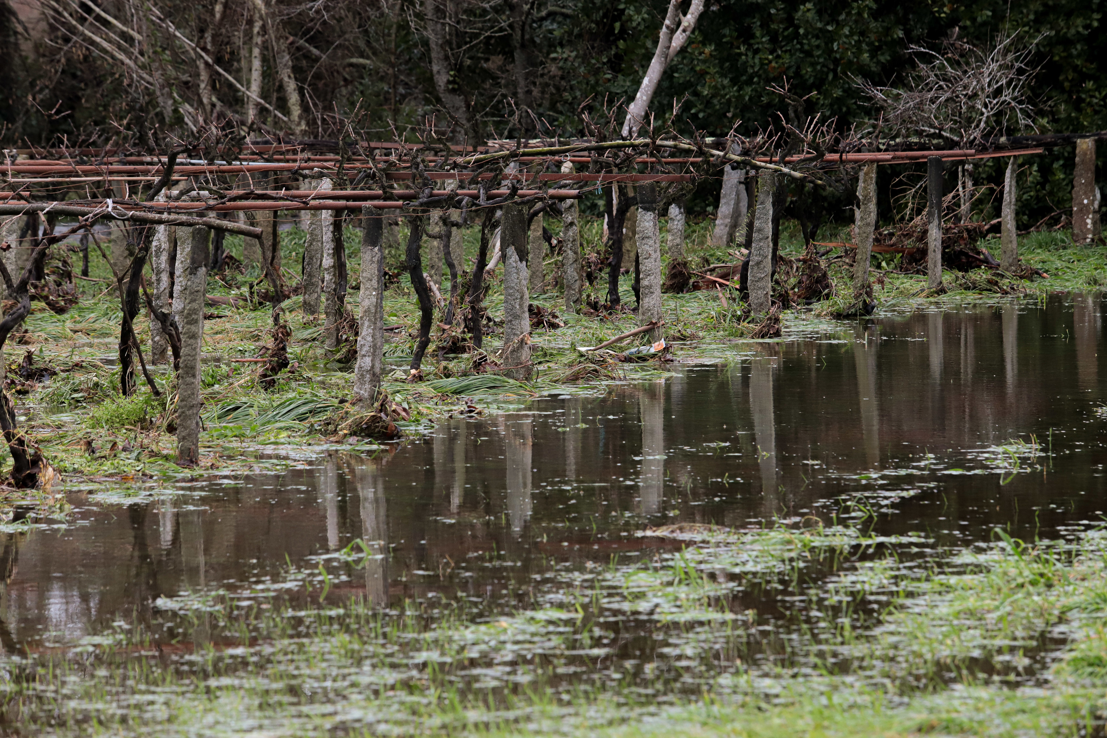 A borrasca ‘Marta’ golpea Galicia con case 300 incidencias pero sen feridos graves