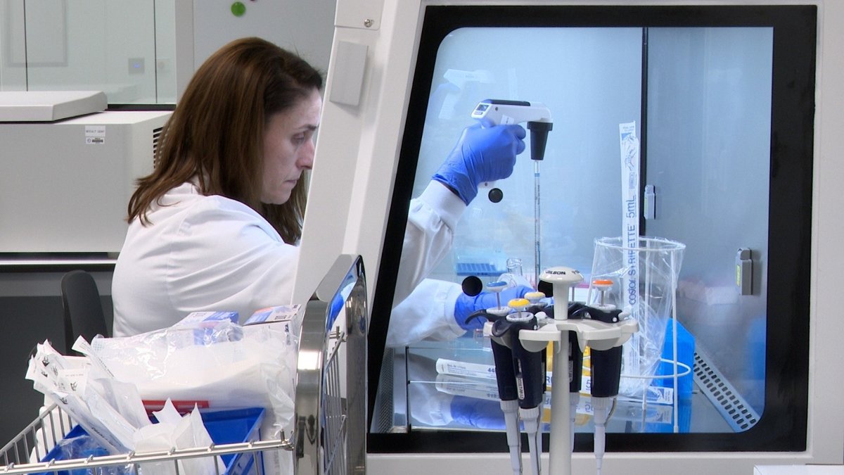 Galicia, pioneira en terapias CAR-T contra o cancro: casi 200 galegos as recibiron desde 2019