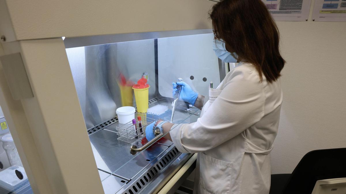 O Sergas prevé captar 75 investigadores en catro anos e montar ata seis empresas para comercializar os achados científicos