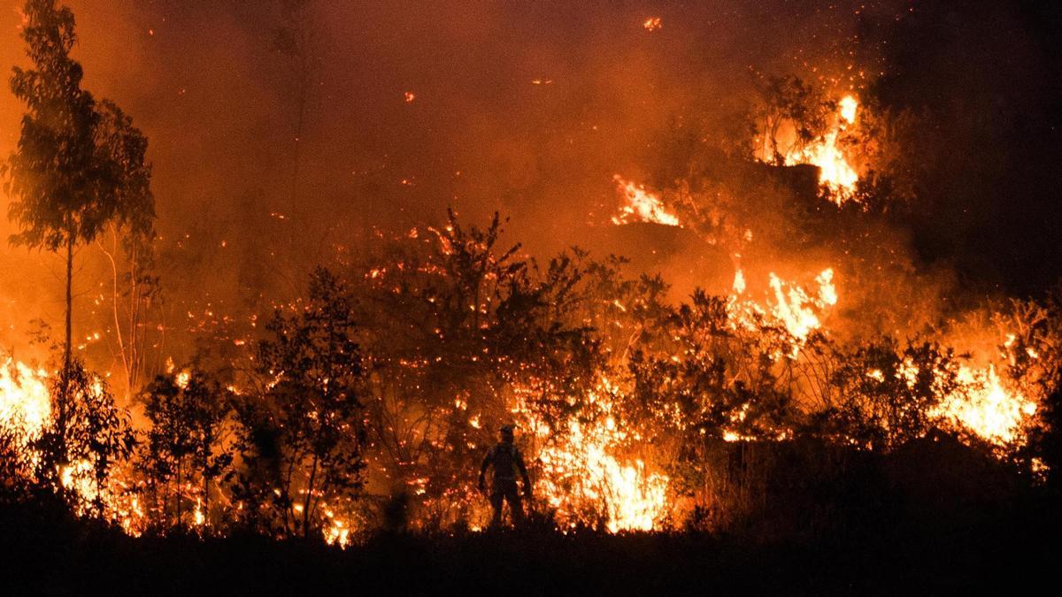 A primavera decide xa o lume do verán en Galicia: o solo garda auga, pero a maleza é combustible