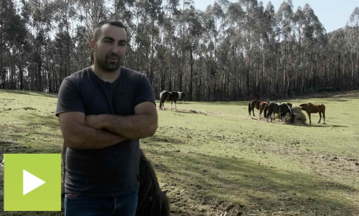 “O arborado precisa pastizais intercalados que fagan barreira contra o lume”