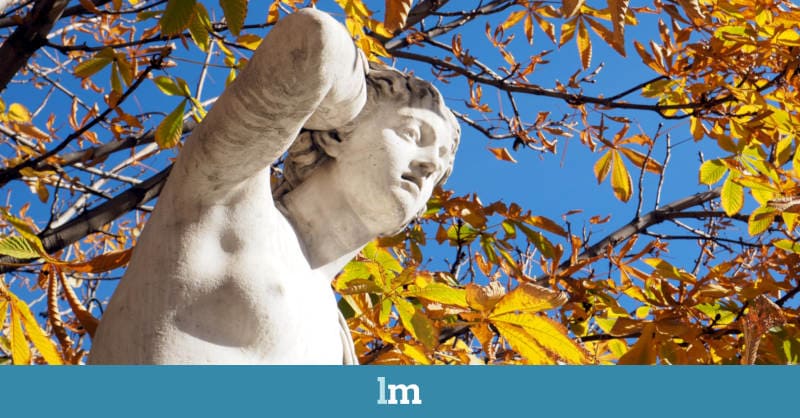 Venus pandémica y celeste de la Economía Social: belleza y esperanza