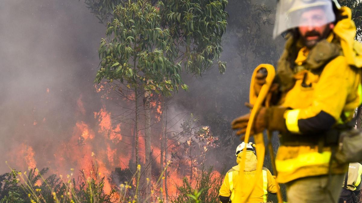 Medio Rural activa unha contratación exprés para evitar prazas vacantes nas brigadas de extinción en época de máximo risco de incendios forestais