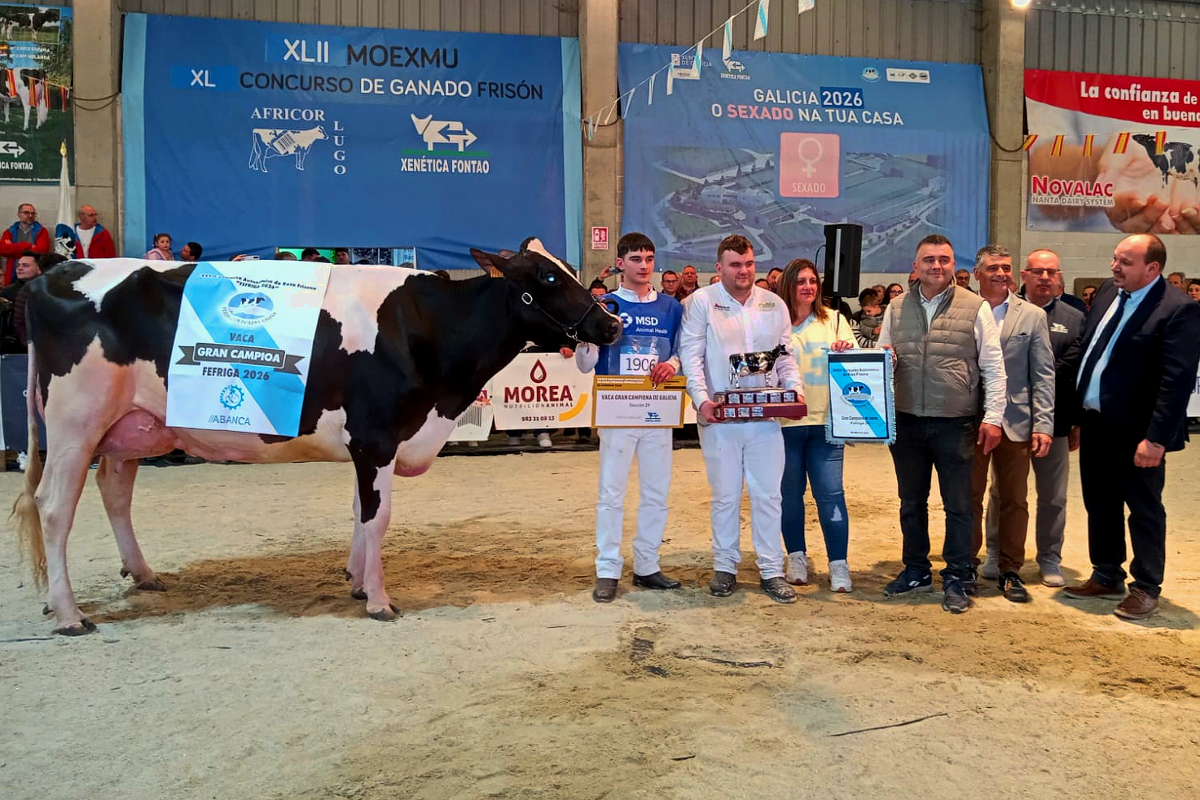 O Rubio King Doc Barni, da gandería O Rubio de Santa Comba, faise co título de Vaca Gran Campiona de Galicia