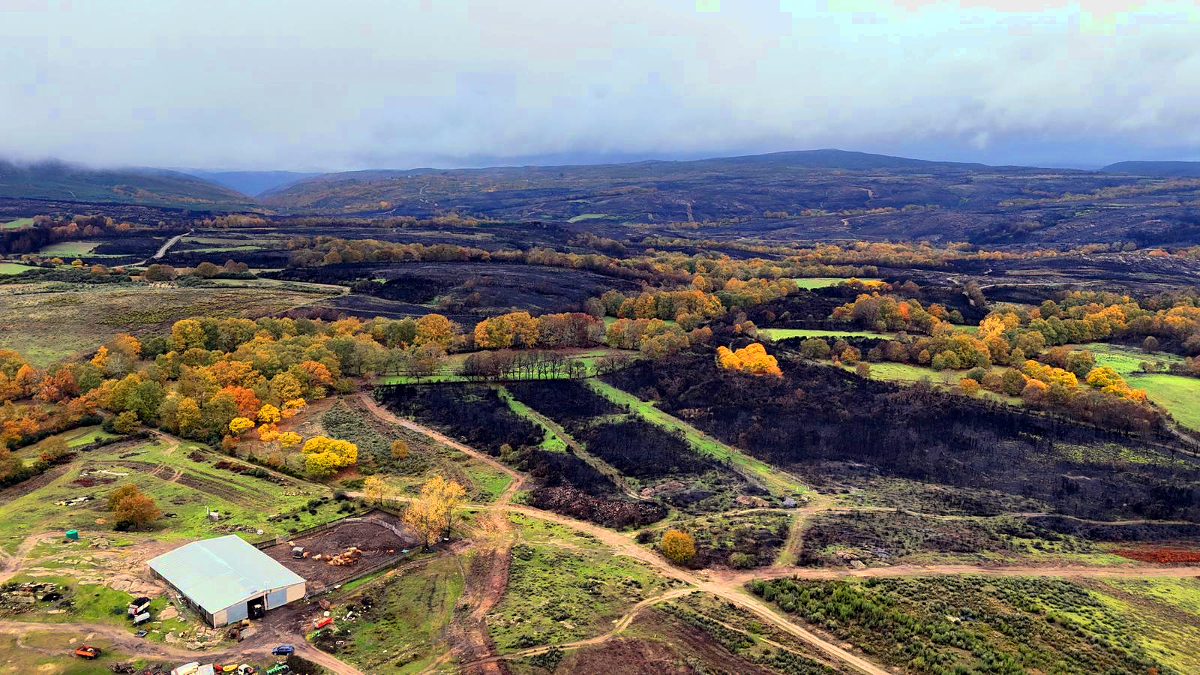 A Xunta creará un comité de expertos do ámbito forestal para mellorar a loita contra os incendios