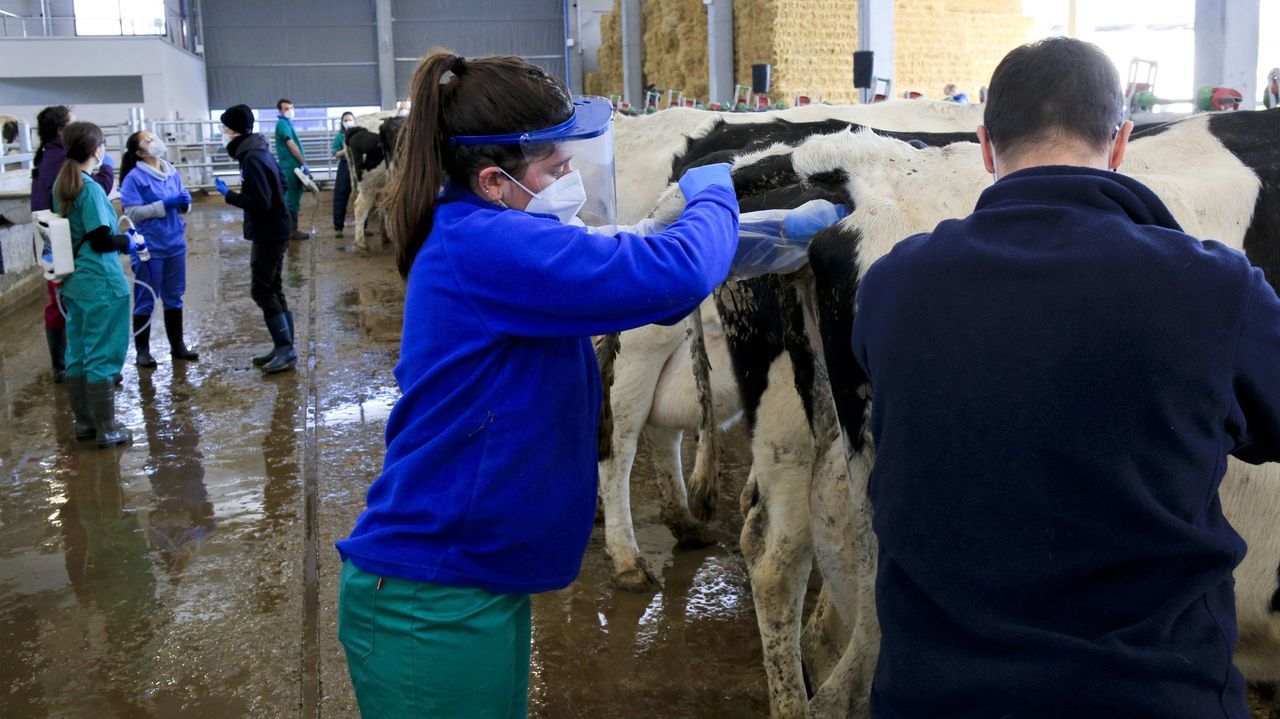 Veterinaria traballa para inclu&iacute;r os Estados Unidos nas pr&aacute;cticas de alumnos ao final do grao:&nbsp;&laquo;&Eacute; unha oportunidade tremenda&raquo;