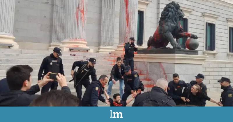 Multas y sin cárcel: la justicia condena a cuatro activistas climáticos por arrojar pintura al Congreso