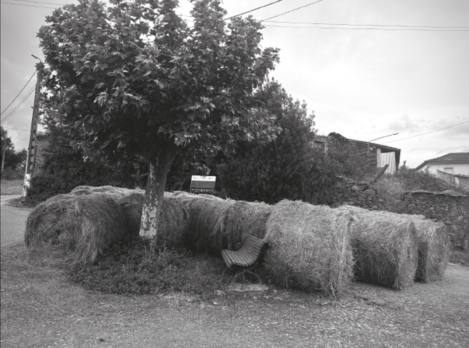 Asedio natural