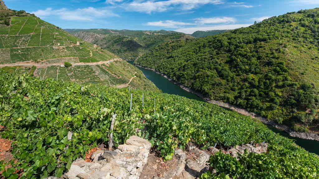 Así é a nova Guía Turística Dixital do Eixo Atlántico: unha plataforma para descubrir Galiza e o Norte de Portugal