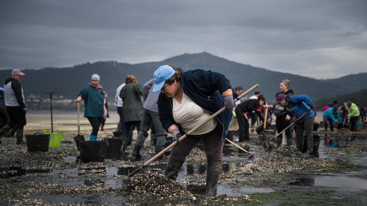 As mariscadoras deixarán de pagar as cotas á Seguridade Social cando a crise impida faenar
