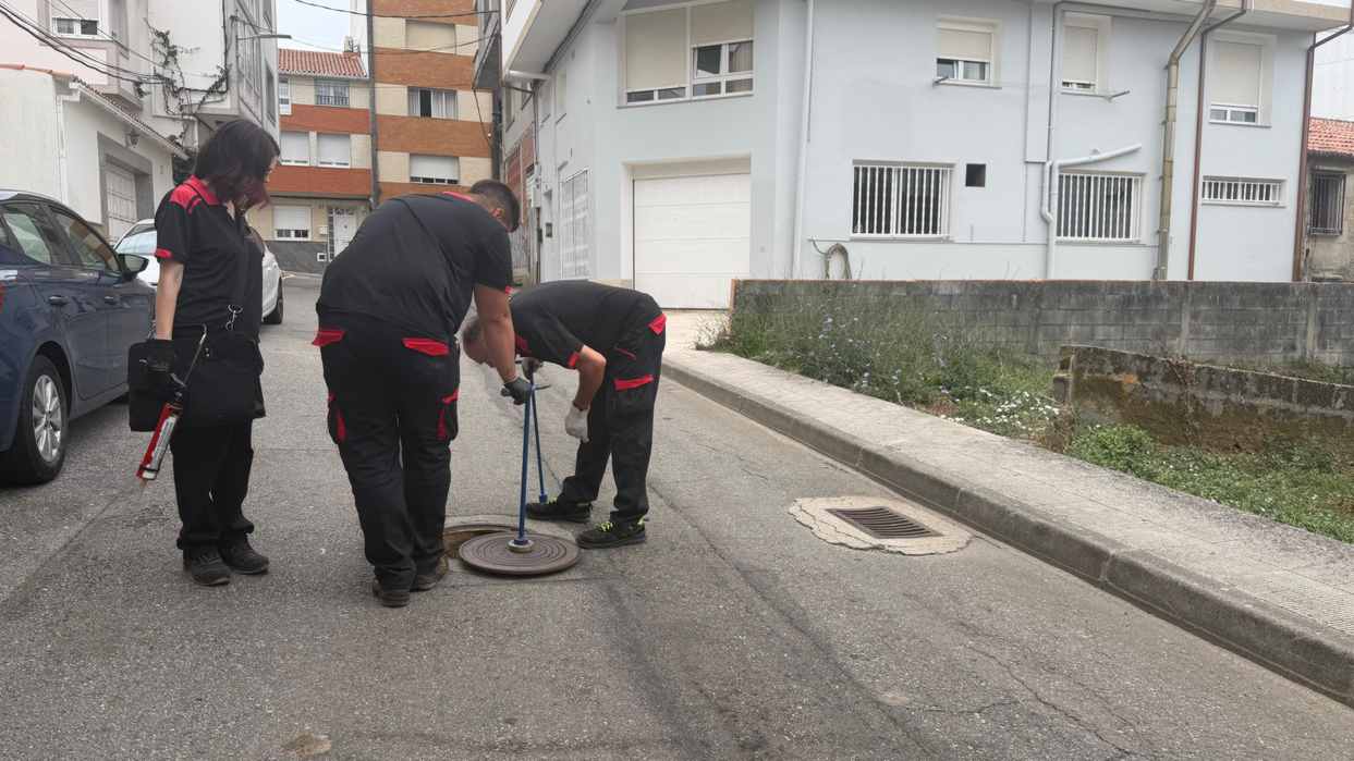 O Concello de Ribeira executa unha campaña especial fronte a roedores e cascudas