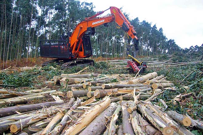 A pasta de papel mellora cotizacións, pero o aumento de custos impide trasladar subas en monte