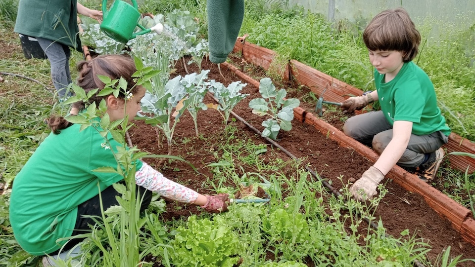 A Escola Ambiental Senda Nova, o ciclo da terra