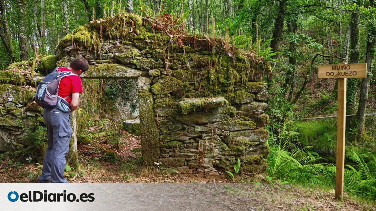A una hora de Santiago y A Coruña: el sendero entre robles y eucaliptos para descubrir hasta 22 molinos de agua