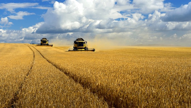 As condicións climáticas reducen en 2 millóns de toneladas as expectativas da colleita de cereais en España