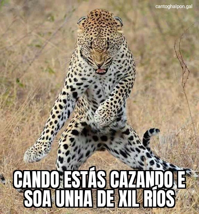 Rapaci&ntilde;a bonita