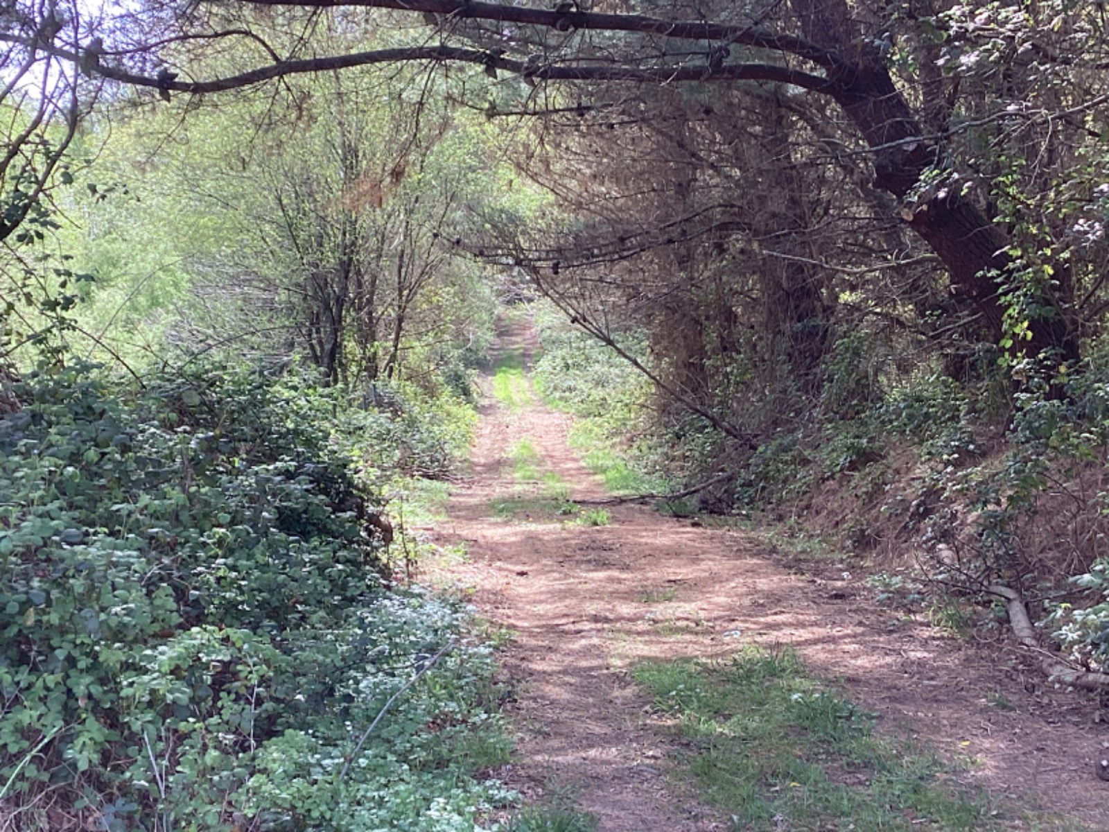 IGV defende un operativo contra incendios “centralizado e profesionalizado, sen precariedade laboral”