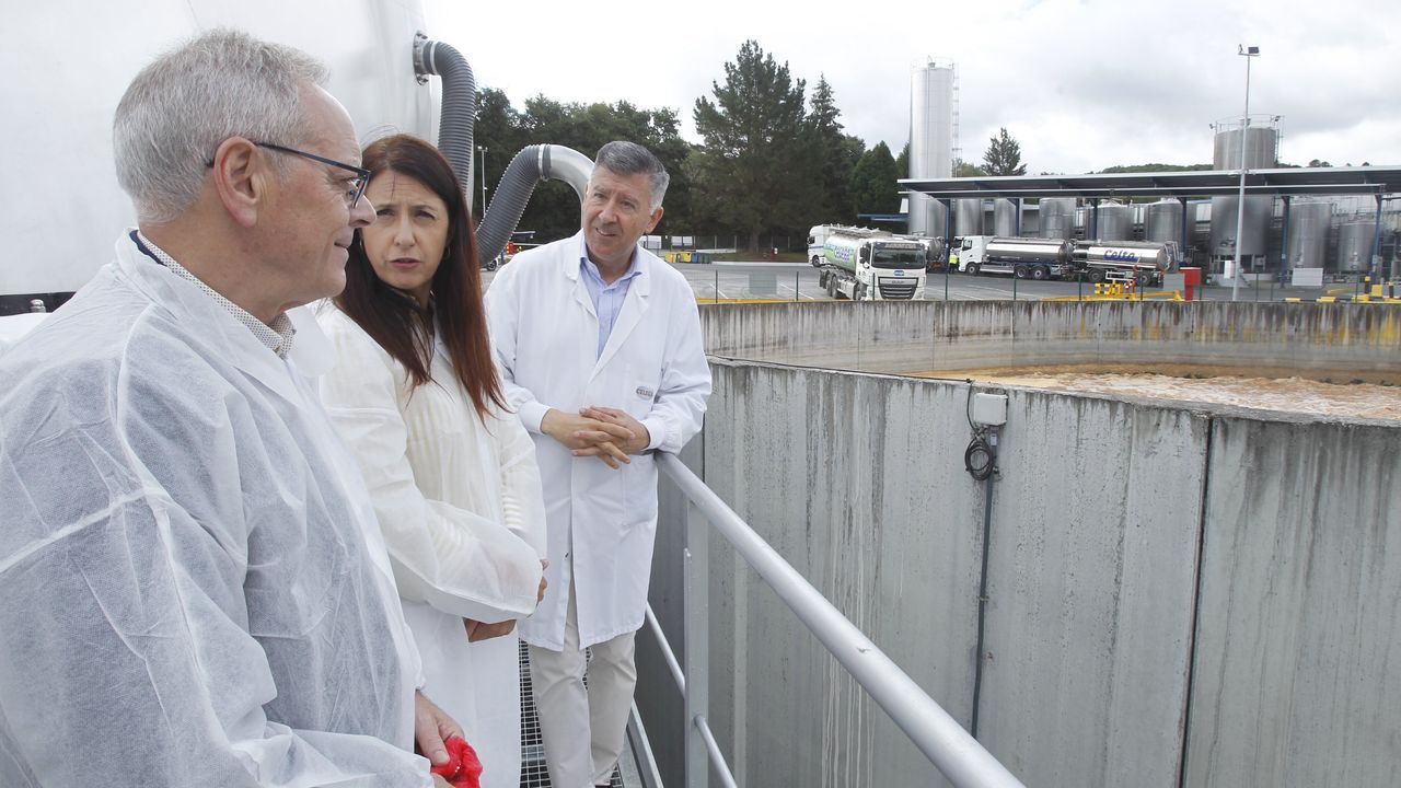 Medio Rural estrea unha li&ntilde;a ambiental de 7,9 mill&oacute;ns dentro das s&uacute;as axudas &aacute; industria agraria