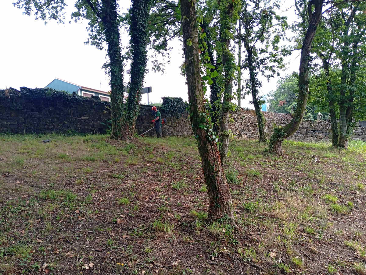 O alumnado de forestal do Obradoiro de Emprego Torre Goiáns V comeza os traballos prácticos
