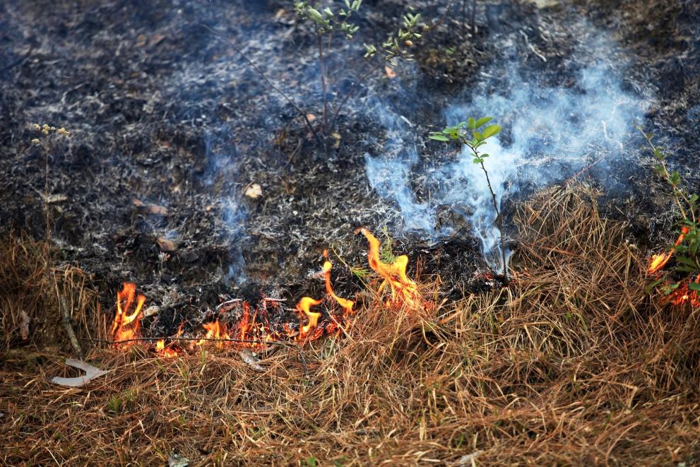 Estabilizado o incendio forestal do concello coruñés de Lousame, parroquia de Lesende