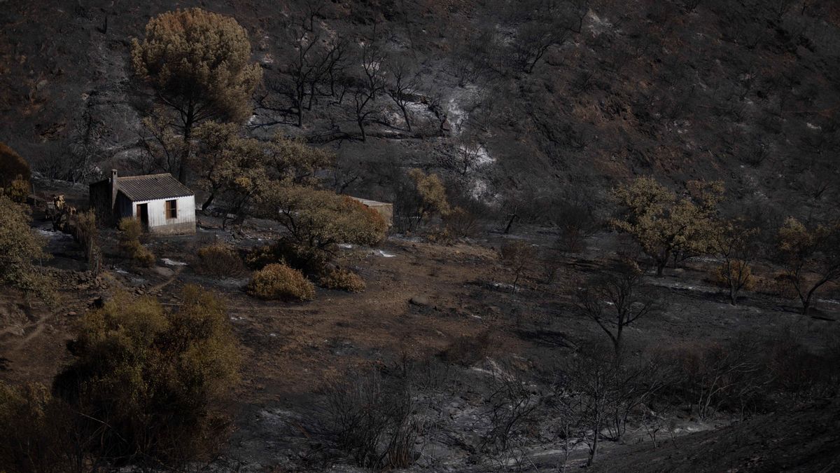 La "evolución favorable" del incendio de Niebla permite el regreso a casa de otros 154 vecinos desalojados