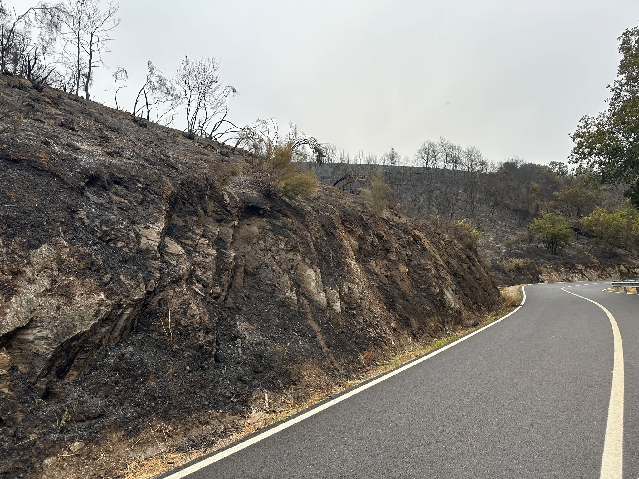 Extinguido desde este sábado o incendio de Taboada