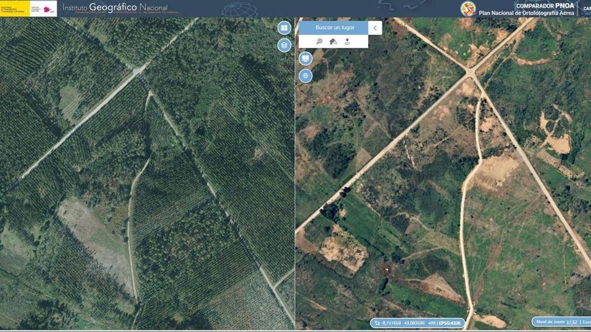As grandes plantacións de árbores nas cabeceiras dos ríos de Galicia agravan a seca