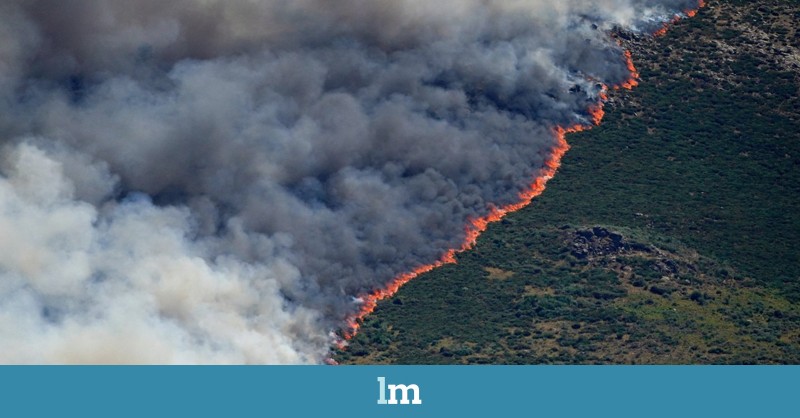 Qué hacer con quienes provocan incendios intencionadamente