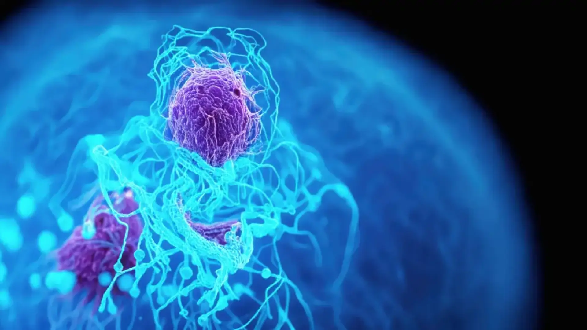 Un nuevo fármaco contra el cáncer de páncreas también logra reducir tumores de pulmón en más del 30% de los pacientes