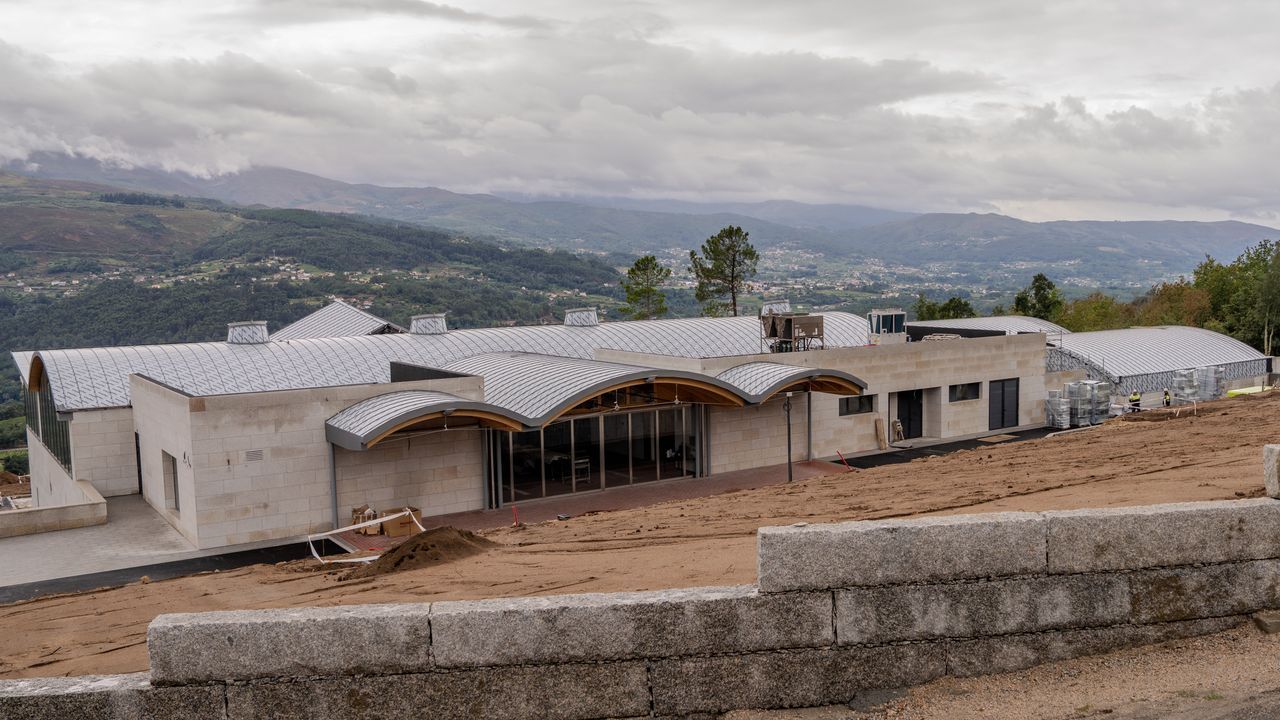 Veiga Sicilia inicia a primeira colleita da s&uacute;a historia nas R&iacute;as Baixas