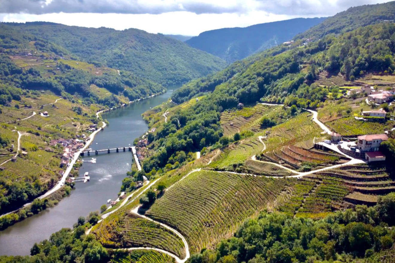 Comeza a tramitación do Plan de Ordenación de Recursos Forestais da Ribeira Sacra
