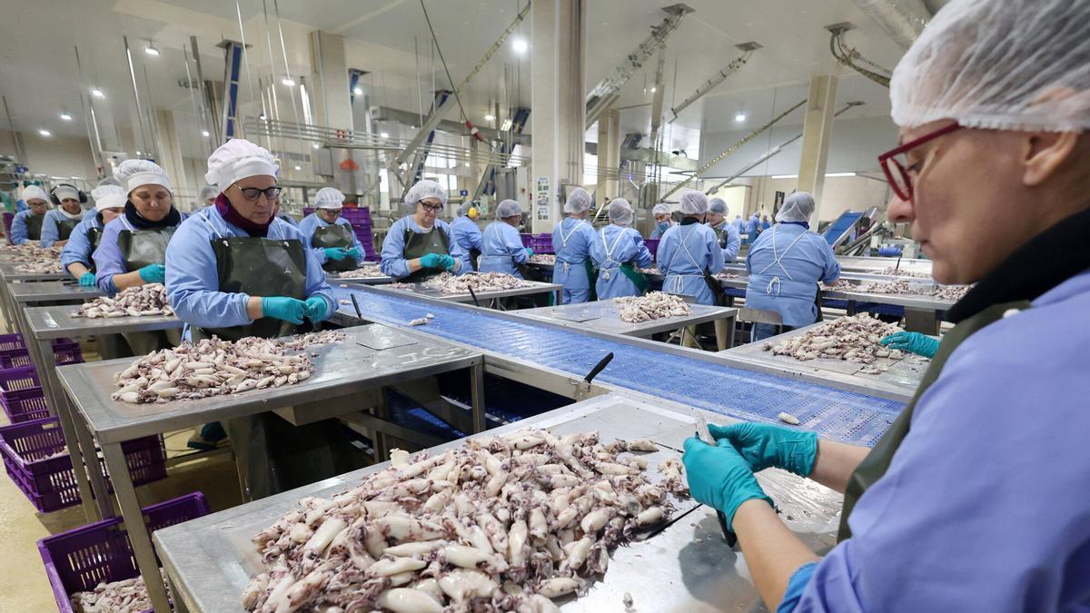 O cambio silencioso da industria alimentaria galega: 329 empresas menos e 2.000 traballadores máis