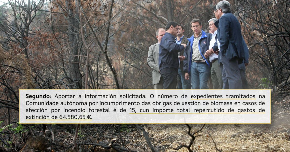 64.000 euros en 8 anos: así vai a idea de Feijóo de que donos de terras sen limpar paguen a extinción dos lumes