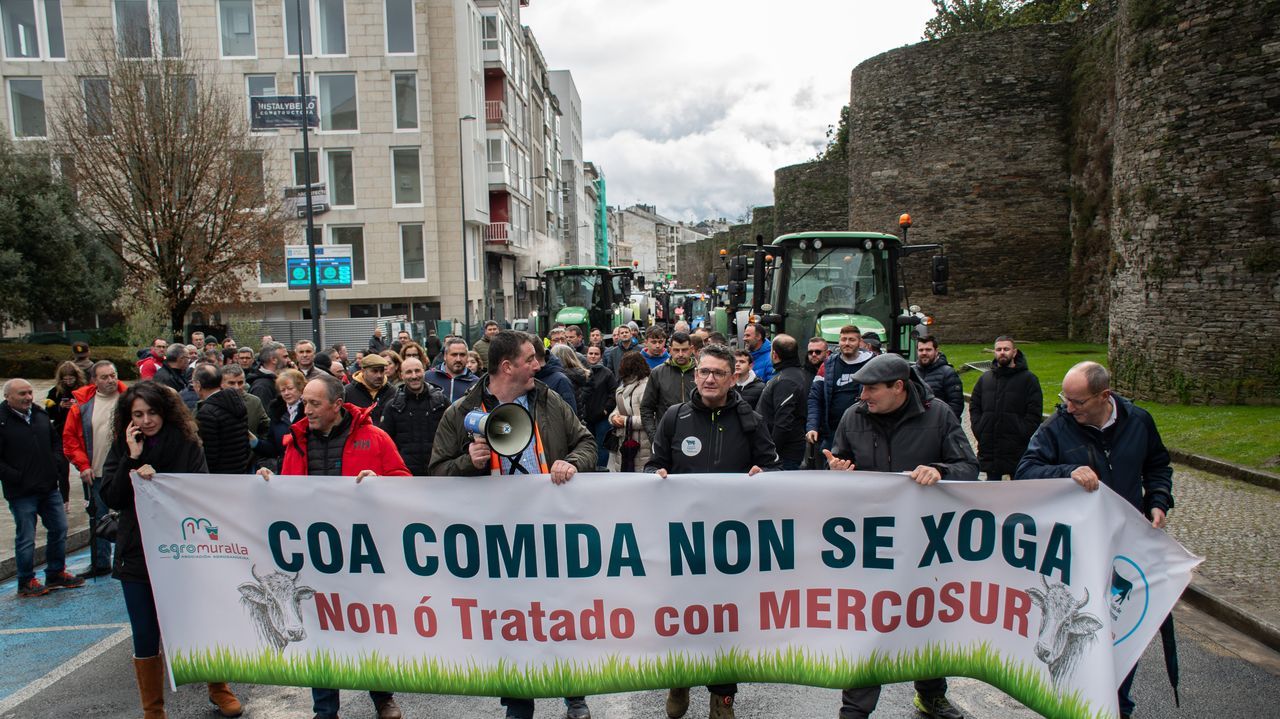 Esixen que o bloqueo e as inspecci&oacute;ns sanitarias apl&iacute;quense a toda a carne que chega de Mercosur