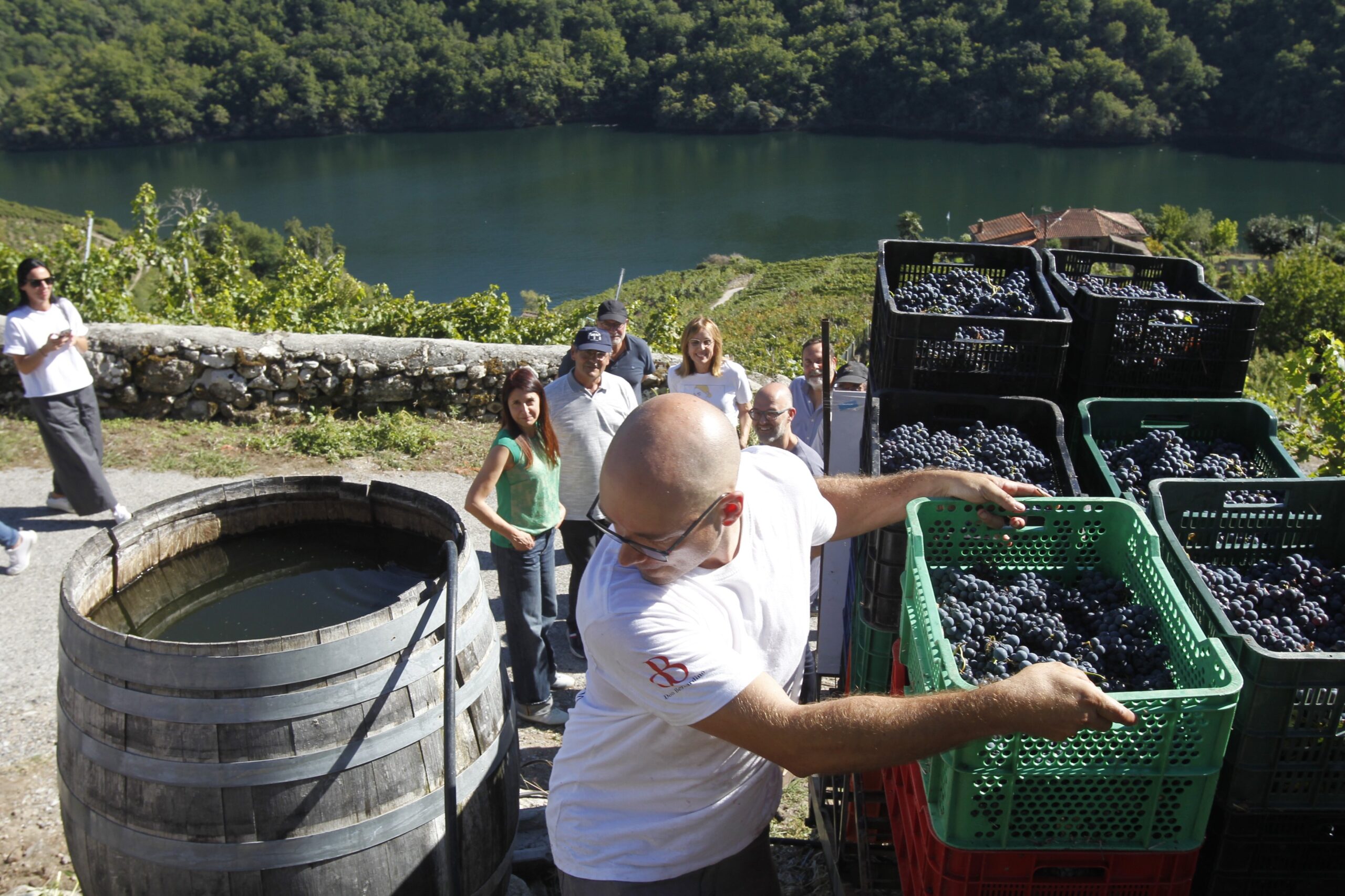 A conselleira de Medio Rural visita a vendima heroica da Ribeira Sacra e felicita os recoñecementos internacionais