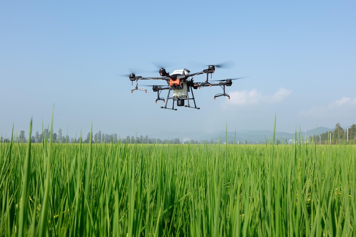 O Ministerio de Agricultura ofrece este outono formación gratuíta en intelixencia artificial, drons, robótica e agricultura de precisión