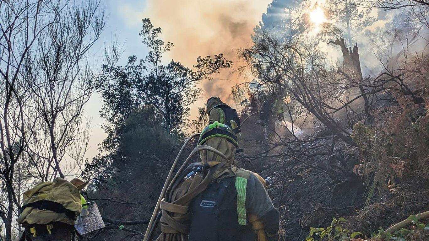 A Asociación de Profesionais da Enxeñaría Forestal advirte de que a Xunta amplía o alto risco de incendios "sen coordinación nin dirección técnica"