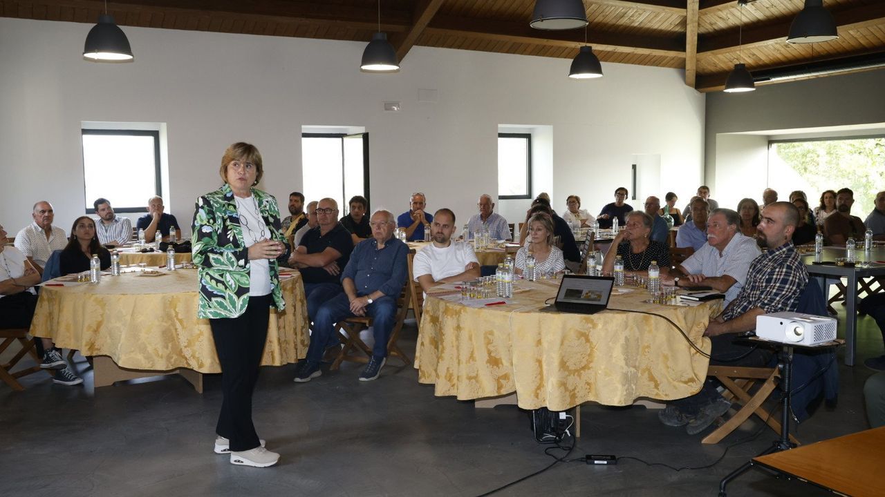 Medio Rural avanza na identificaci&oacute;n de variedades de oliva galega