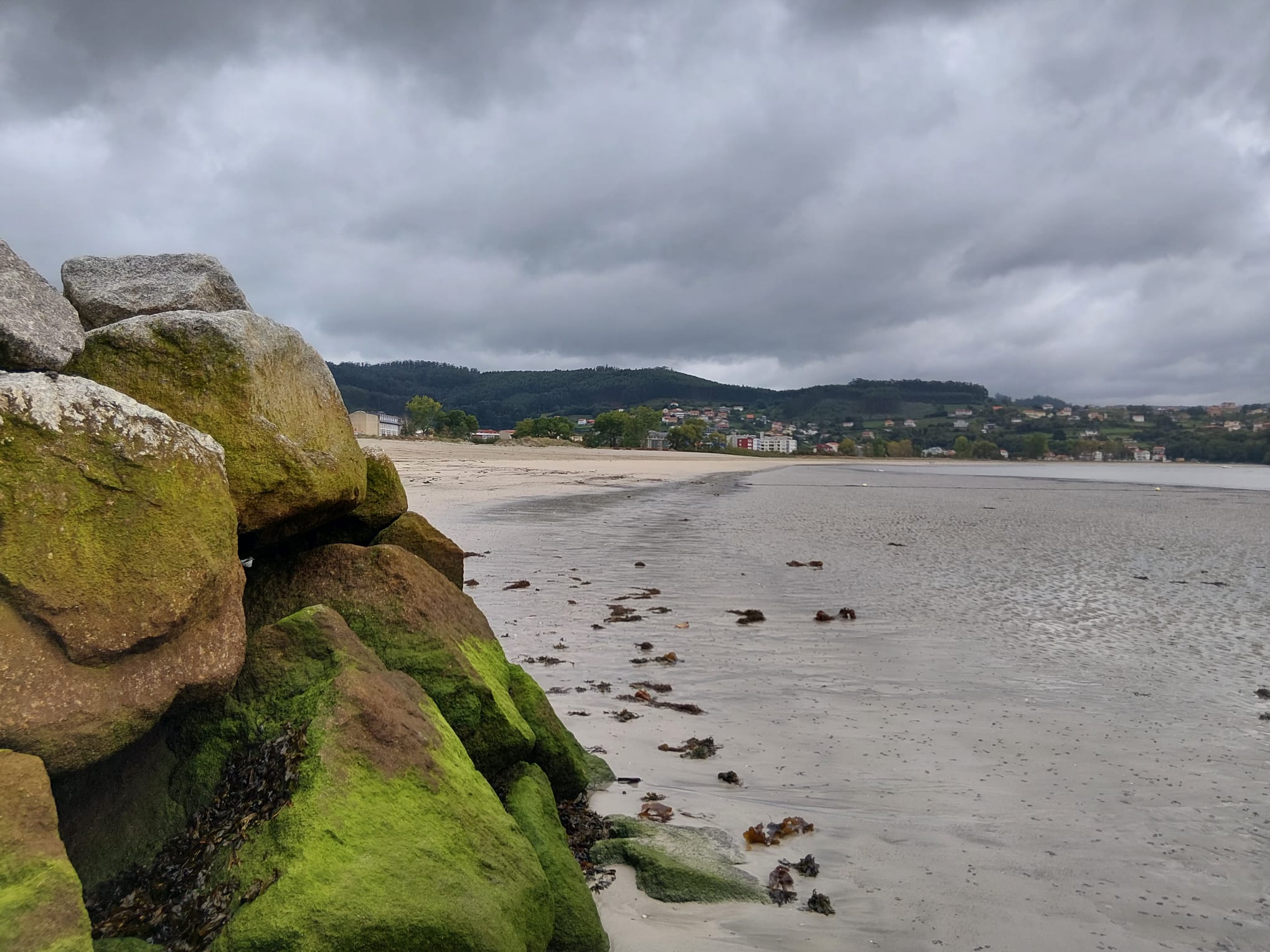A desapariçom das mariscadoras em Cedeira e o colapso ambiental das rías galegas