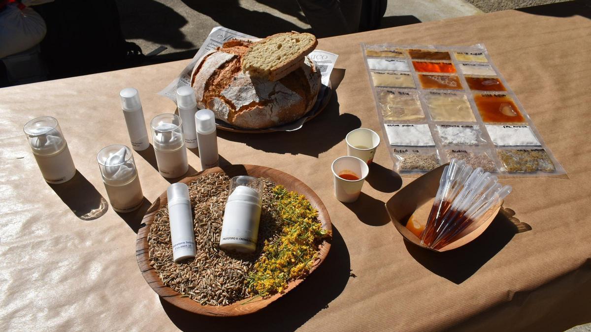 Dos fogóns Michelin á cosmética: a avea propia de Galicia renace para crear negocio desde o campo