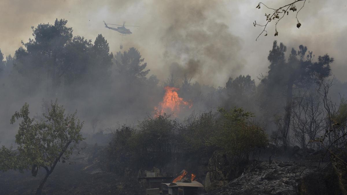 Liñas eléctricas sen limpar, foguetes e queimas neglixentes: as causas de centos de expedientes por incendios en Galicia