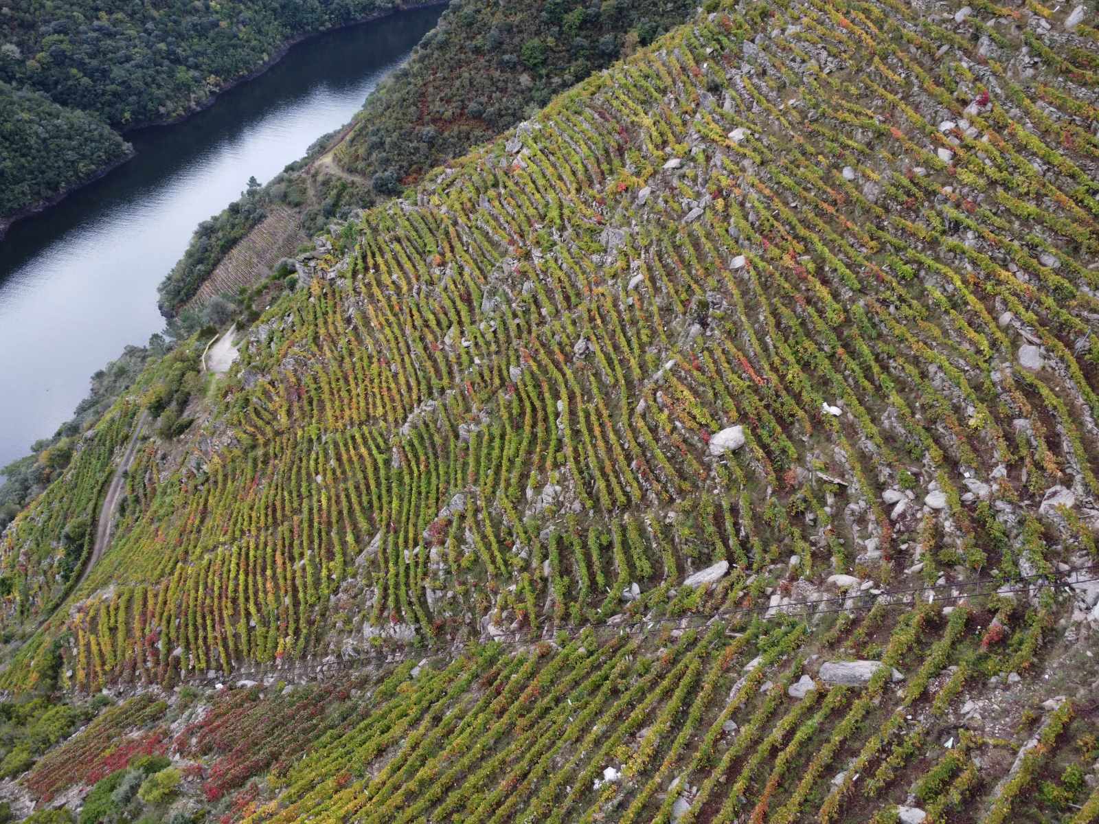 A Ribeira Sacra: terra de frades que non rezan e muiños que non moen (II)