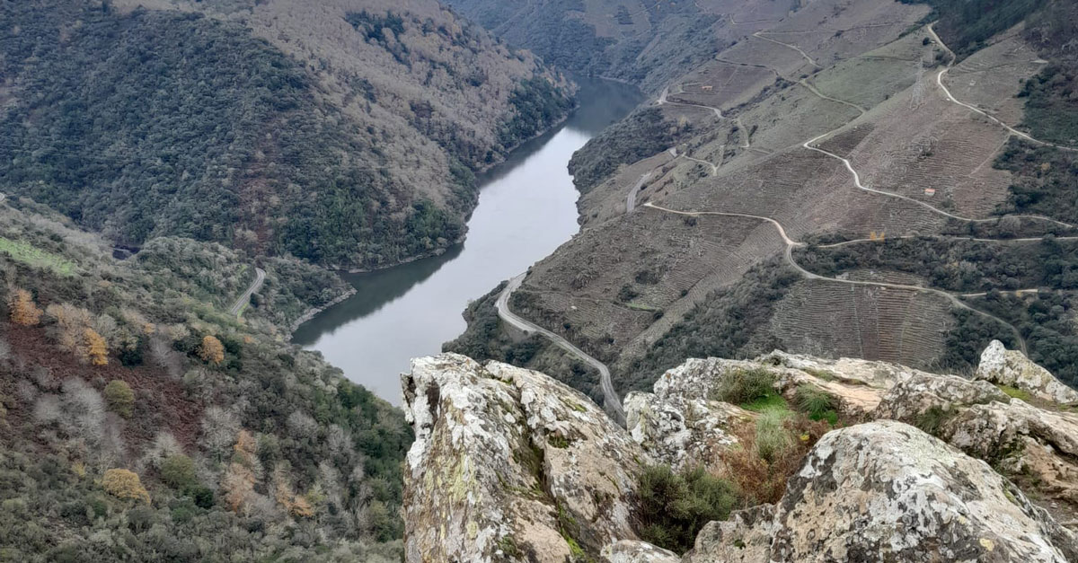 En Interior Galego Vivo están “satisfeitas” por conseguir aprobar as mocións para a preservación da viticultura tradicional
