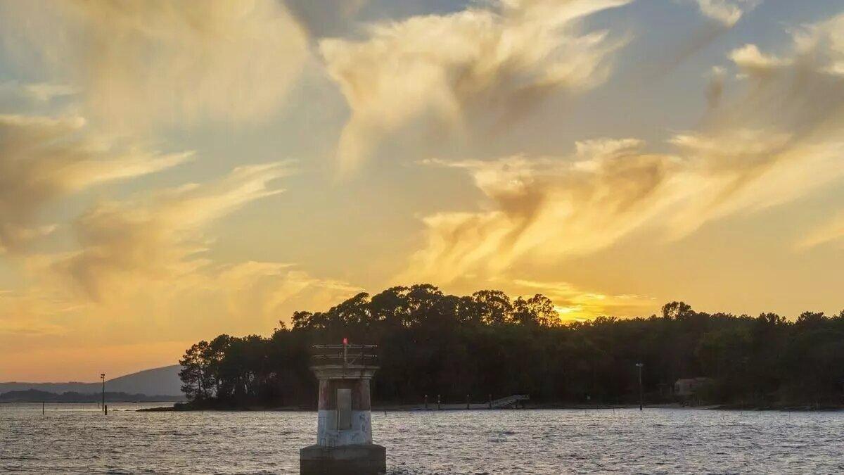 O maior bosque de loureiros de Europa está en Galicia: a pouco máis dunha hora da Coruña
